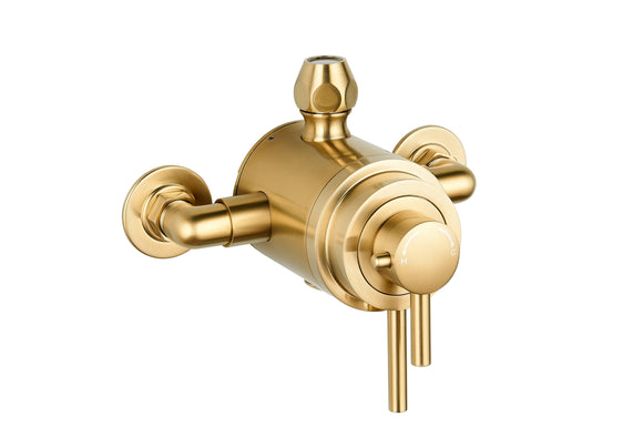 Exposed thermostatic shower valves