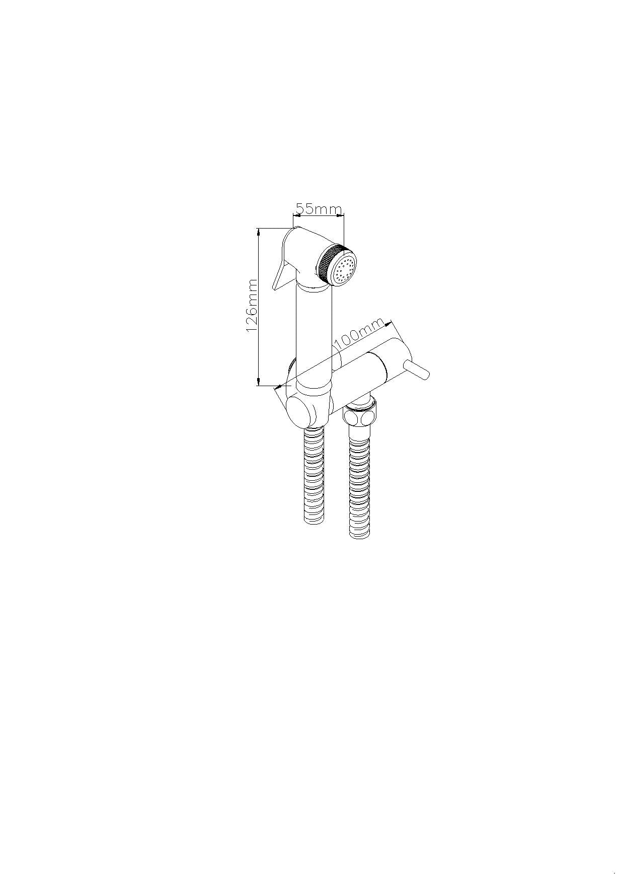 Round chrome Douche kit with diverter TIS0016