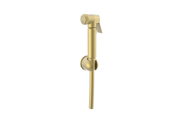 Round Brushed brass Douche kit TIS0301